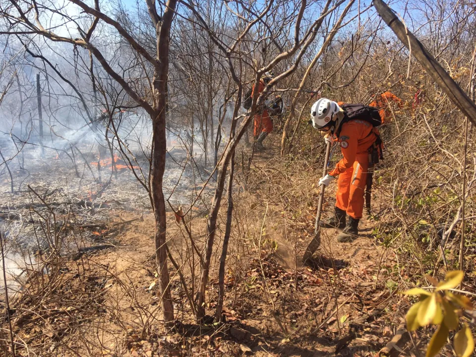 Militares utilizam equipamentos como mochilas costais, pás, enxadas e foices para debelar os incêndios | Foto: Divulgação | CBMBA