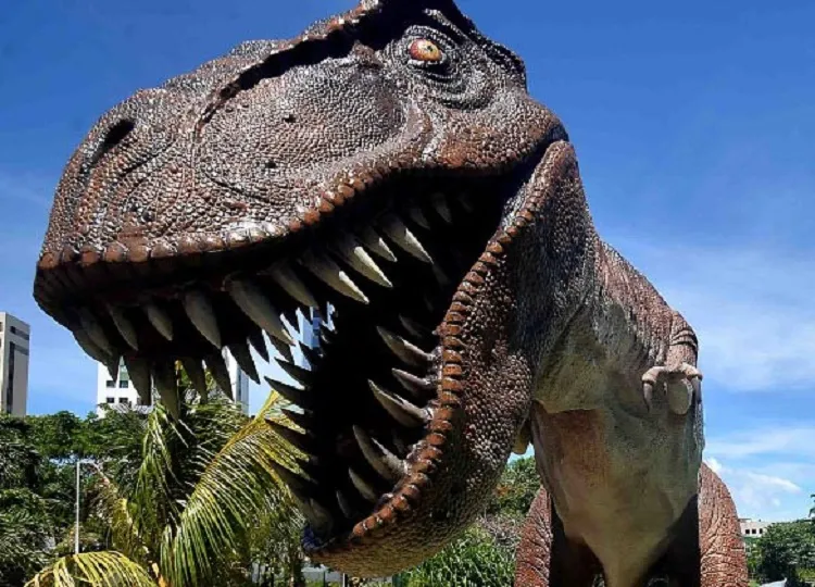 Descoberta é fruto de parceria entre brasileiros e chineses | Foto: Fotos Públicas