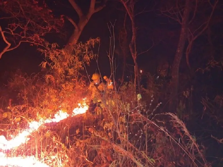 O Corpo de Bombeiros informou que há cinco operações de combate a incêndios florestais no Mato Grosso do Sul | Foto: Divulgação | Corpo de Bombeiros