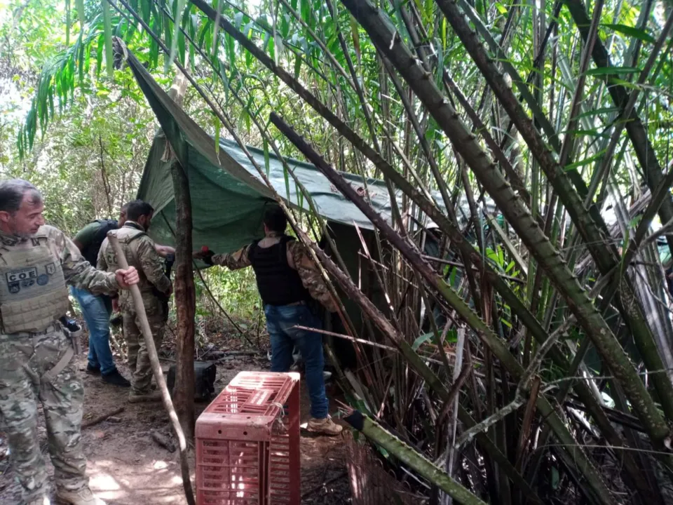 Mesas, cadeiras, mantimentos e ferramentas foram encontrados nos abrigos improvisados | Foto: Divulgação | Polícia Civil