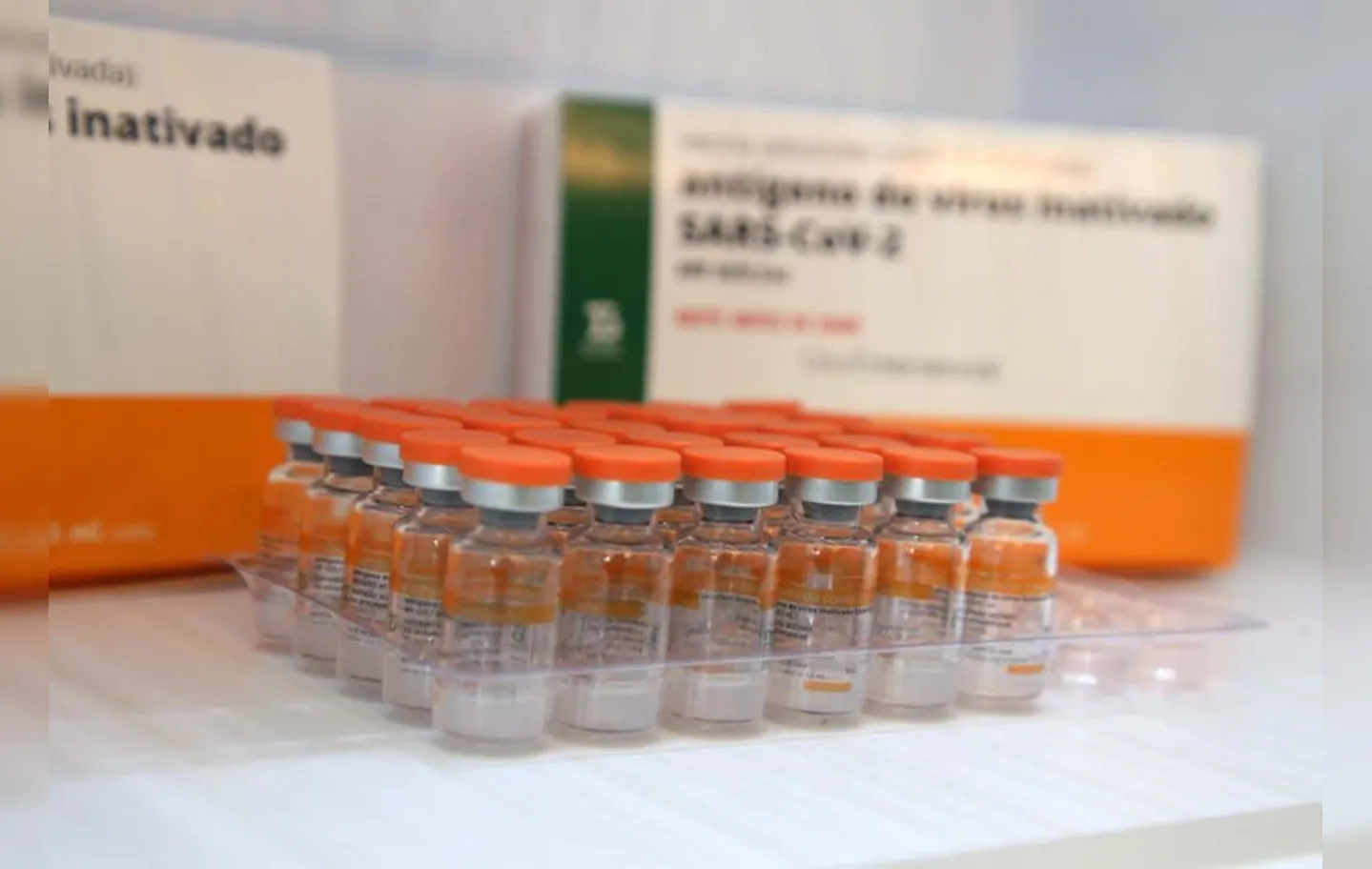 O imunizante é desenvolvido em parceria com o laboratório Sinovac | Foto: Rafael Martins | Ag: A TARDE