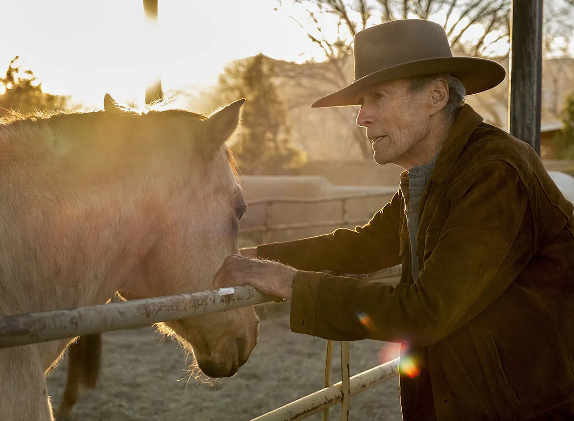 Cry Macho: Eastwood é Mike Milo, peão de rodeios em velhice sem perspectivas | Foto: Divulgação