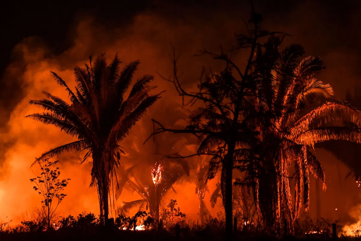 Floresta amazônica sofre incêndios cada vez mais frequentes, de acordo com o estudo | Foto: NELSON ALMEIDA | AFP