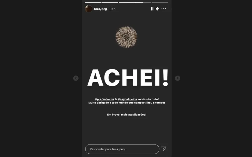 A amiga do rapaz se sensibilizou com a paixão e recorreu às redes sociais | Foto: Divulgação | Redes Sociais