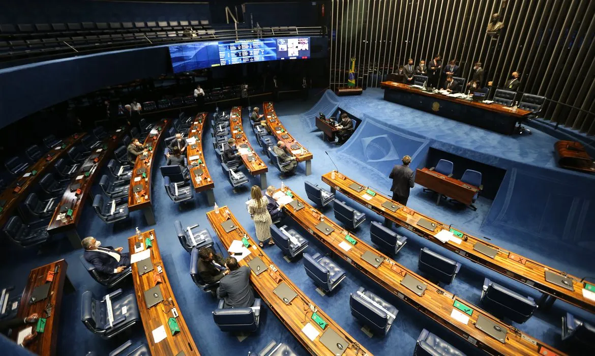 Hoje, essa regra é federal e faz parte do Código Florestal. O PL 2510/19, porém, retira esse papel da União. - Foto: Fabio Pozzebom | Ag. Brasil