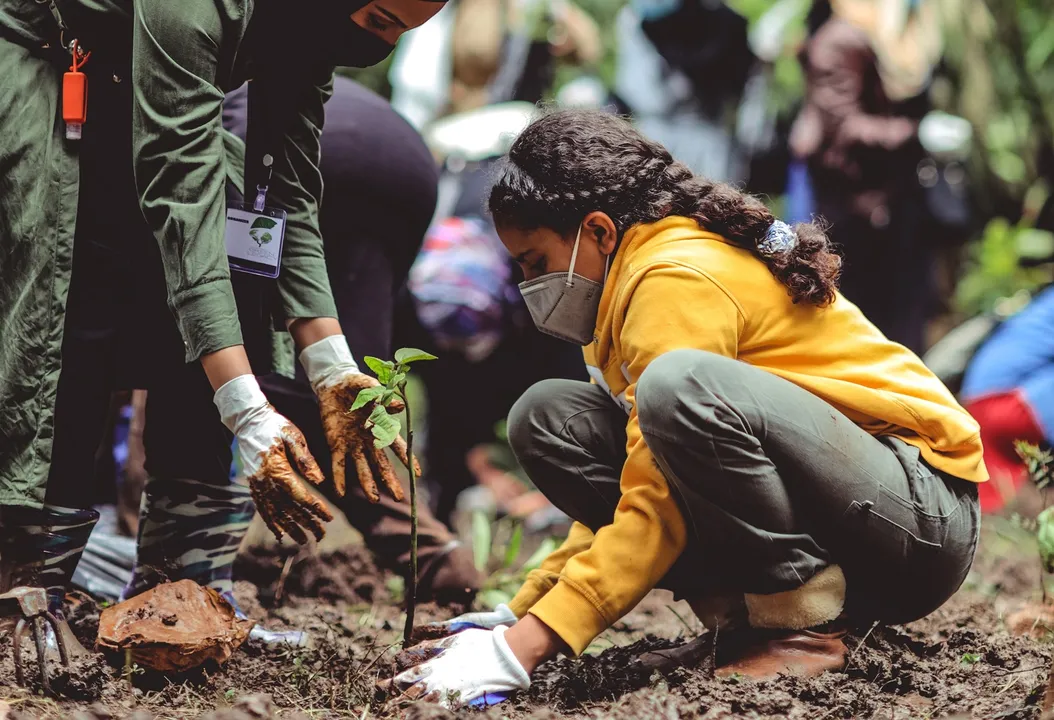 Média nacional de desconhecimento é 29% | Foto: Eyoel Kahssay/ Unsplash