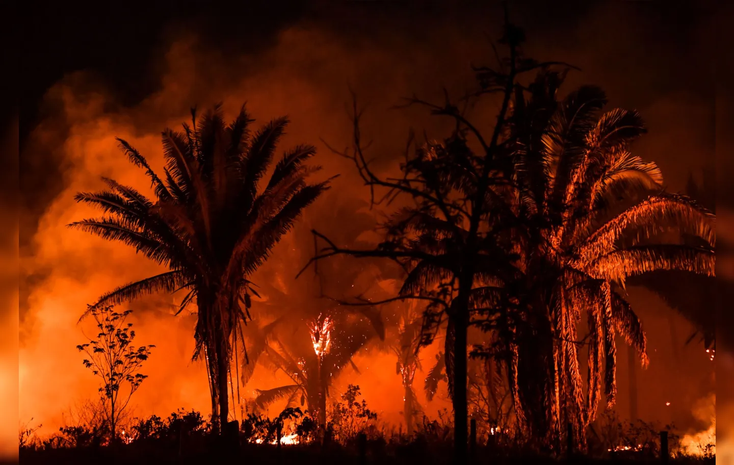 Floresta amazônica sofre incêndios cada vez mais frequentes, de acordo com o estudo | Foto: NELSON ALMEIDA | AFP