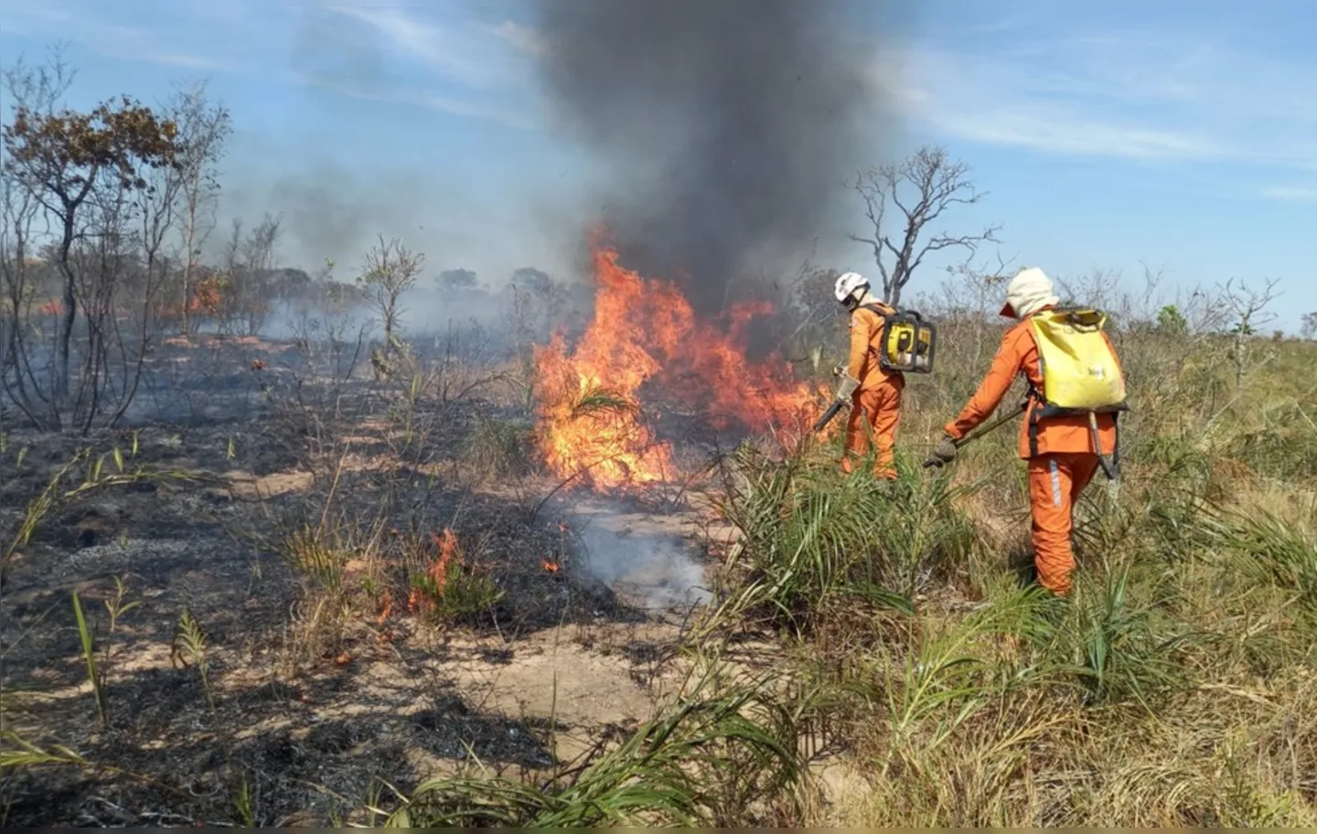 Regiões de vegetação em Ibicoara e Iraquara foram atingidas pelo fogo.