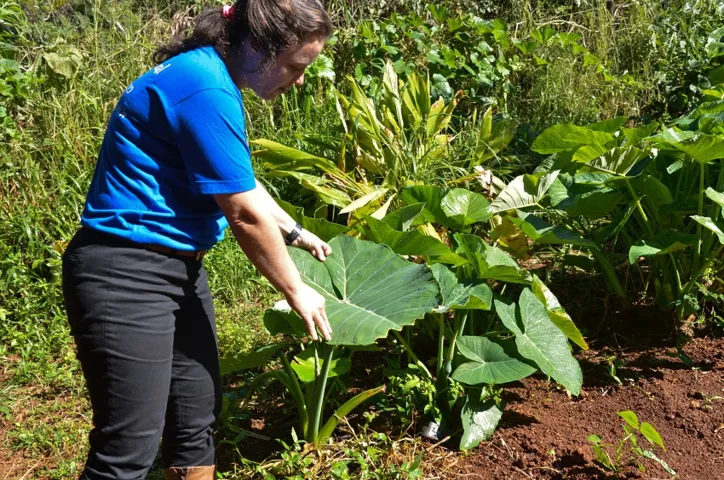 Mulheres estão cada vez mais presentes no Agro