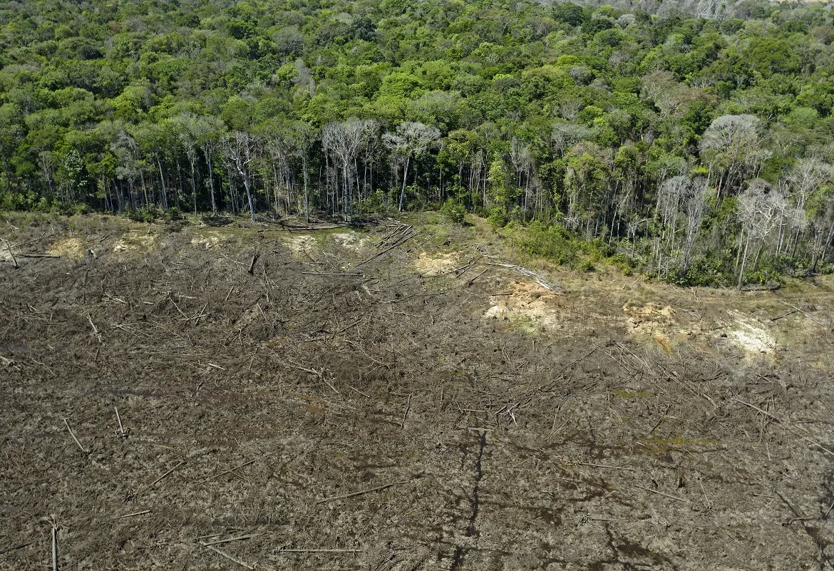 Outro "inimigo" da floresta, citado por Mirabal, é o atual governo brasileiro, comandado por Jair Bolsonaro | Foto: Florian Plaucheur | AFP