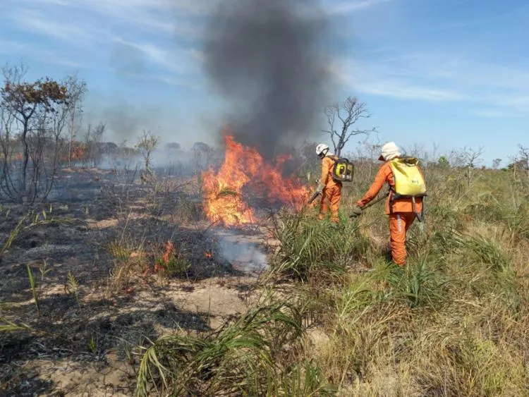 Os focos de incêndio foram extintos em Ibotirama | Divulgação | CBM-BA
