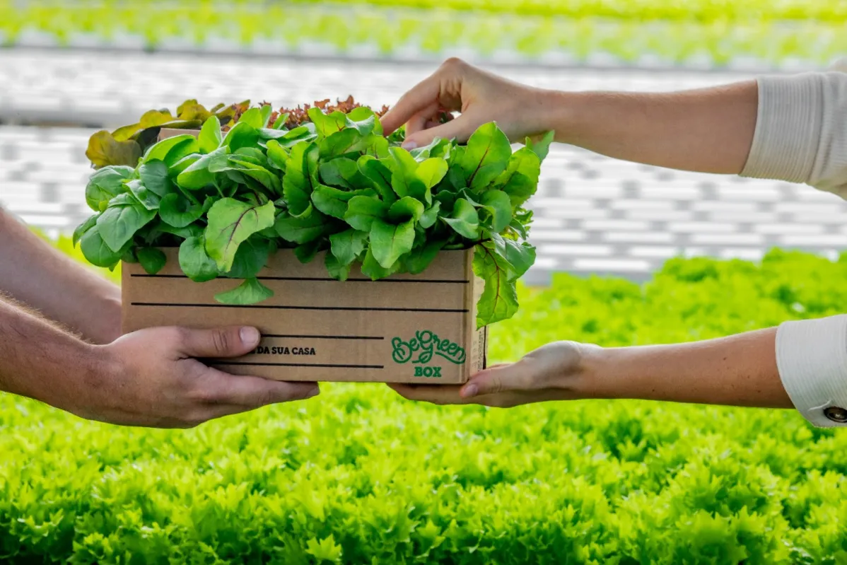 Fazenda urbana oferece produtos livres de agrotóxicos | Foto: Divulgação