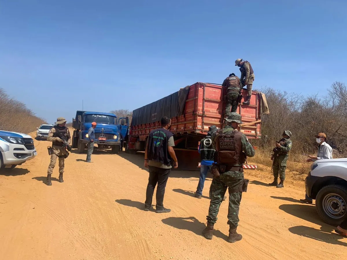A madeira ilegal foi apreendida e encaminhada para o pátio da Sematur. Já o caminhão foi escoltado para a Delegacia Territorial (DT) de Santa Rita de Cássia | Foto: Divulgação | SSP