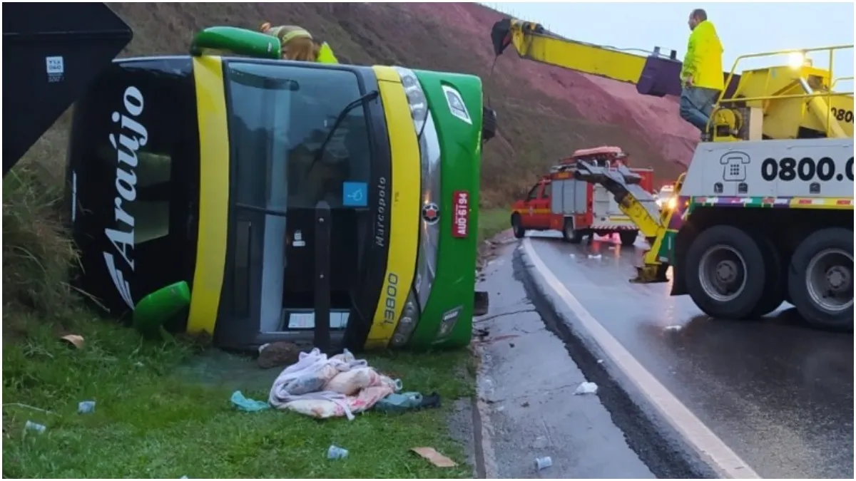 Ônibus tombou após motorista perder controle da direção | Foto: Divulgação | Corpo de Bombeiros - MG