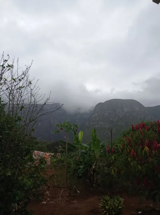 Na quinta-feira, não houve registros de foco de calor no território baiano | Foto: Reprodução