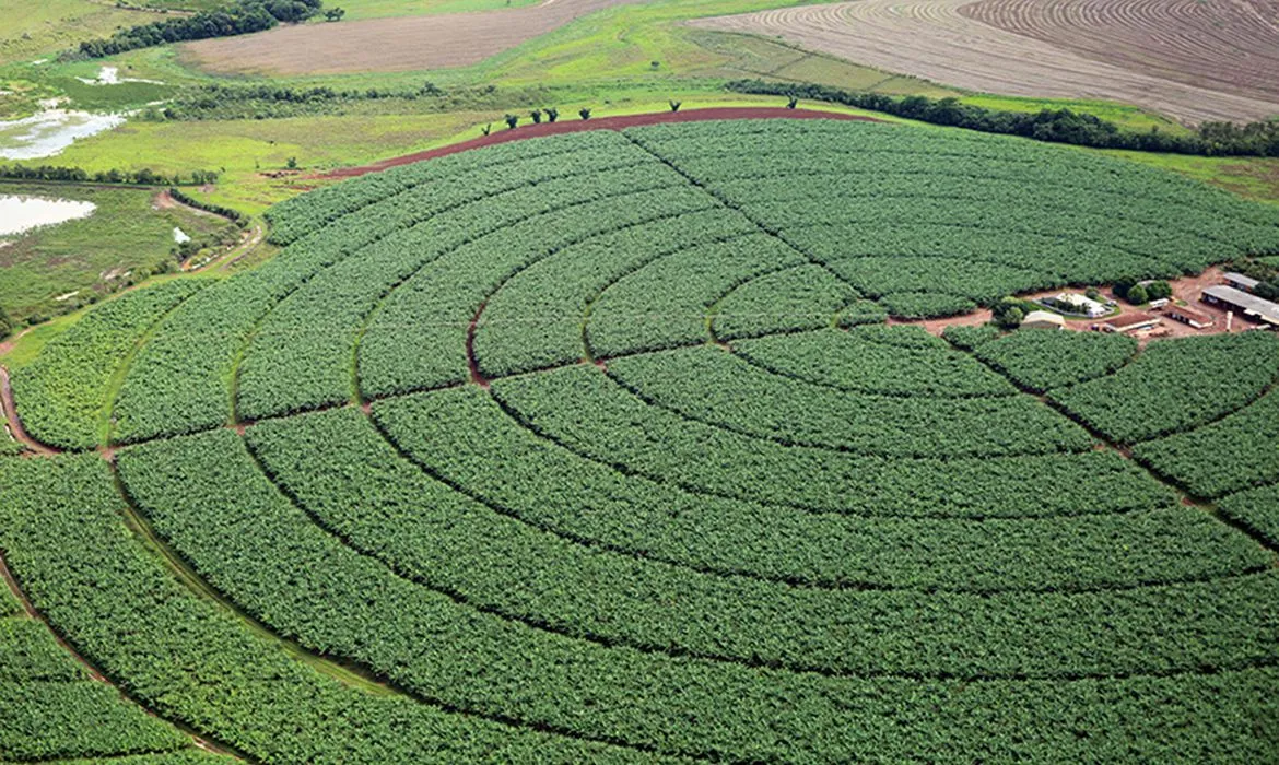 Decreto que altera legislação deve simplificar registro de produtos | Foto: Raylton Alves | Ag Ana
