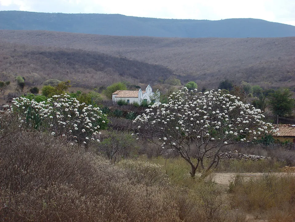 Parque Nacional do Boqueirão da Onça | Foto: Rogário Cunha de Paula | ICMBio | 21.3.2006