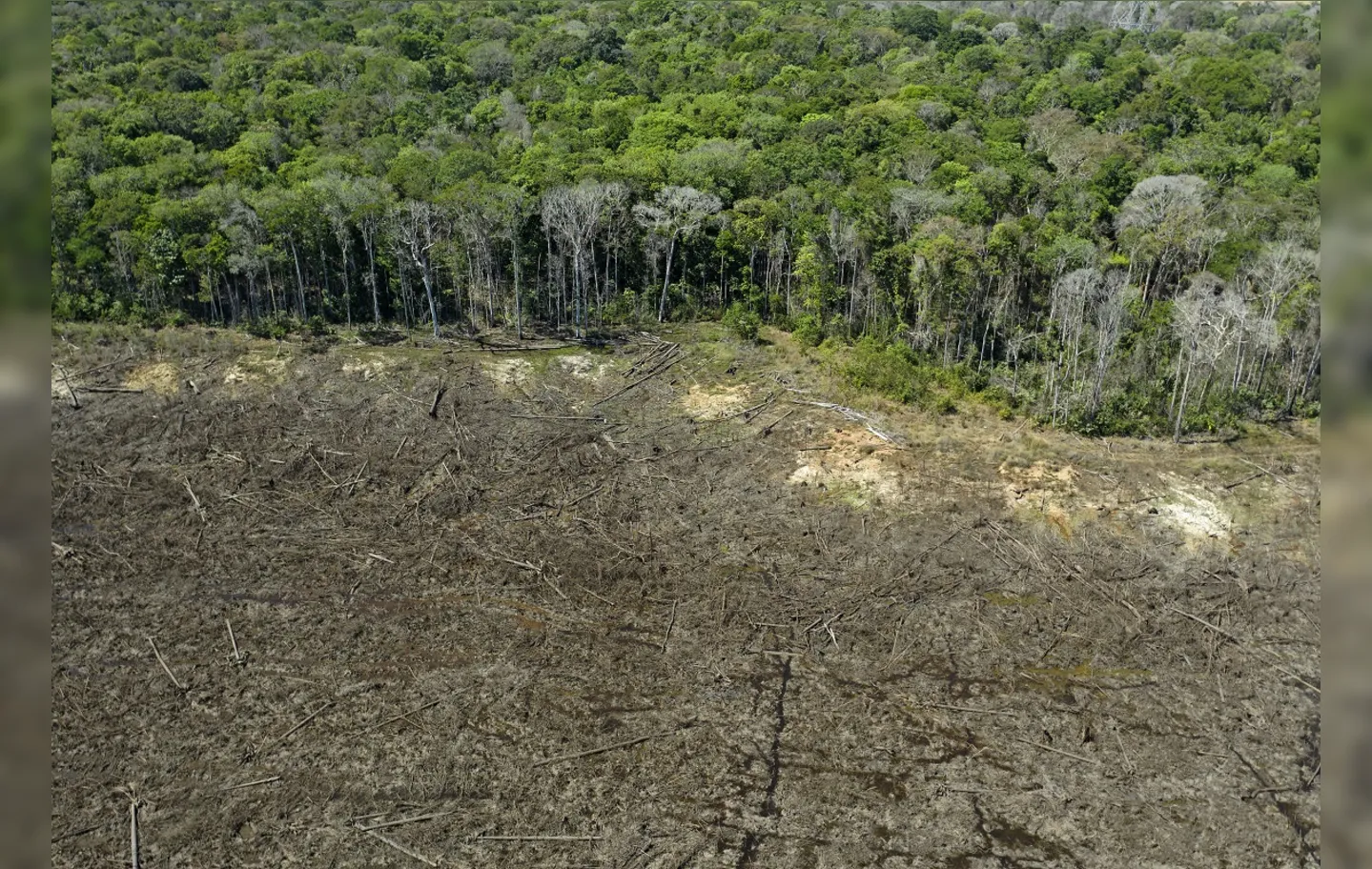 Outro "inimigo" da floresta, citado por Mirabal, é o atual governo brasileiro, comandado por Jair Bolsonaro | Foto: Florian Plaucheur | AFP