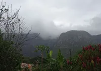 Chuvas na Bahia têm ajudado no combate a incêndios florestais, aponta Inema