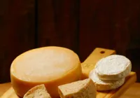 Produtores, técnicos e lojistas apostam no potencial da Bahia no fascinante mundo dos queijos