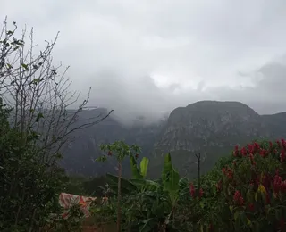 Chuvas na Bahia têm ajudado no combate a incêndios florestais, aponta Inema