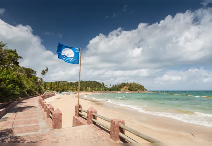 Imagem ilustrativa da imagem Praias de Salvador e Camaçari são contempladas com selo ecológico Bandeira Azul