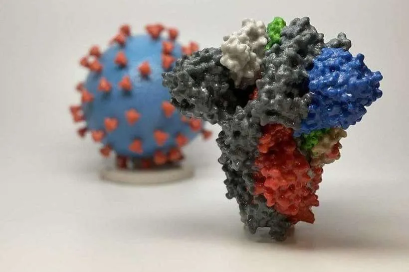 A variante preocupa pois tem 50 mutações, algo nunca visto antes | Foto: National Institutes of Health | AFP