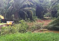 Quilombo Rio dos Macacos é invadido por tratores