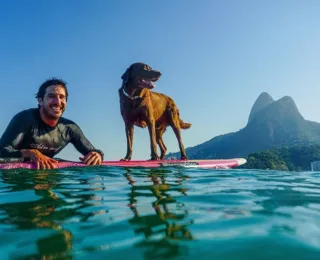Bono, o cão surfista, faz tour em praias paradisíacas da Bahia