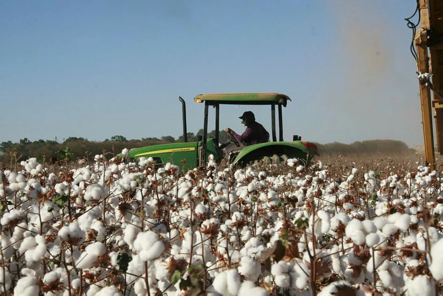 O Brasil é o maior importador de fertilizantes do mundo, sendo que cerca de 23% dos adubos ou fertilizantes químicos importados em 2021 vieram da Rússia