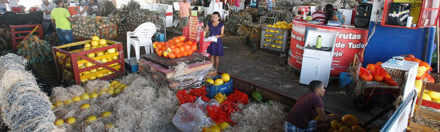 Atualmente, a Ceasa comercializa, em média, 140 itens que compõem a cadeia de produtos hortifrutigranjeiros