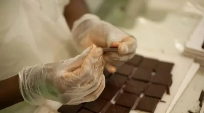 anúncio foi feito nesta quarta-feira durante a assinatura de protocolo de intenção com a SDE