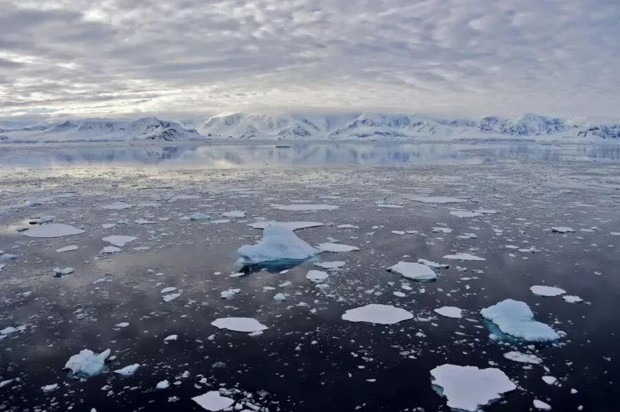 Em fevereiro, a camada de gelo da Antártica atingiu sua menor área desde o início das medições