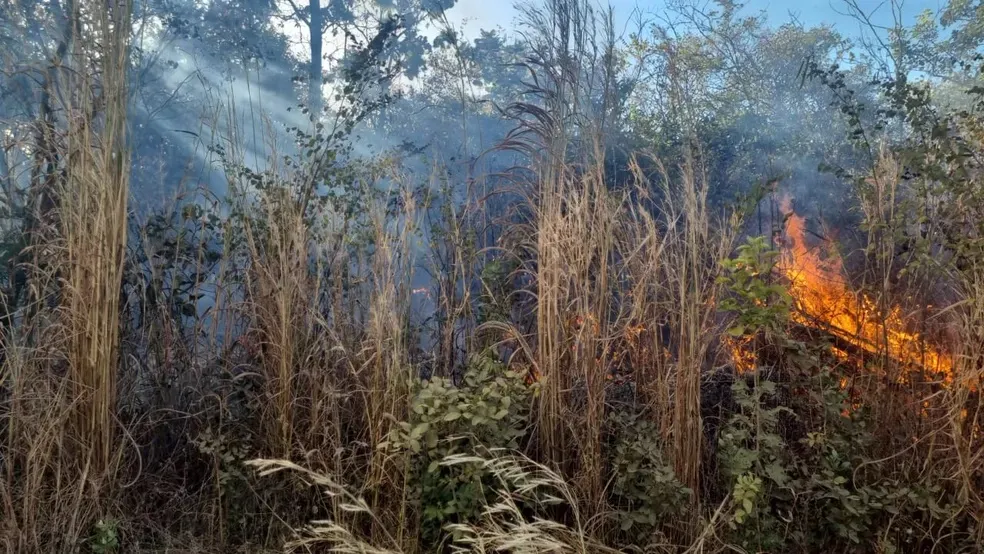 Incêndio se iniciou em um terreno de capim e se alastrou pela vegetação