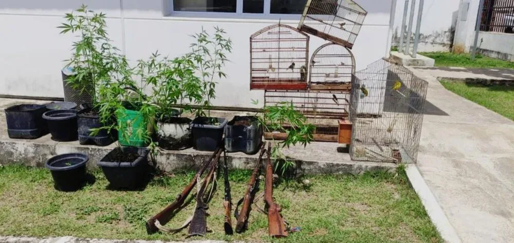 Policiais chegaram até o local durante a Operação Amanhecer em Paz