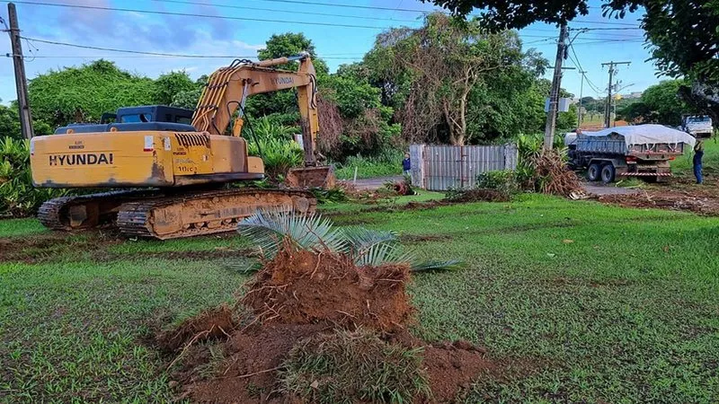 Área de preservação faz parte do Parque de Pituaçu