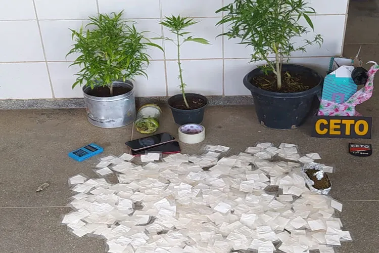 Policiais apreenderam substâncias análogas à maconha e cocaína, aparelhos celulares e cartões de crédito