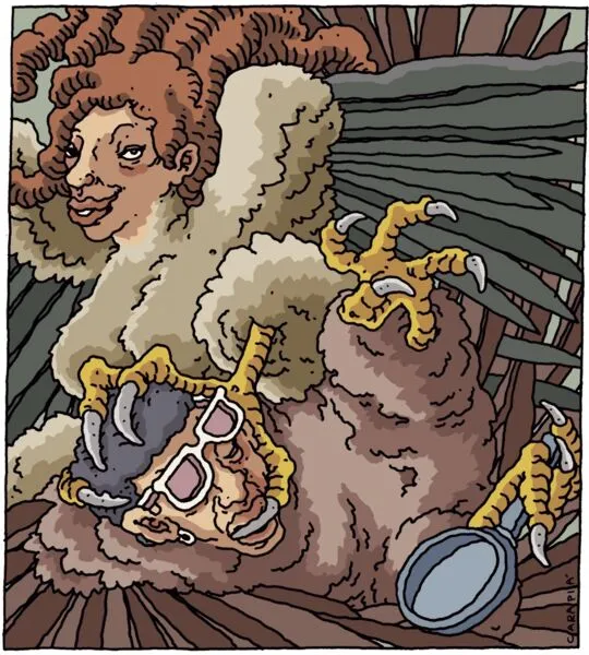 Imagem ilustrativa da imagem O acasalamento dos pássaros