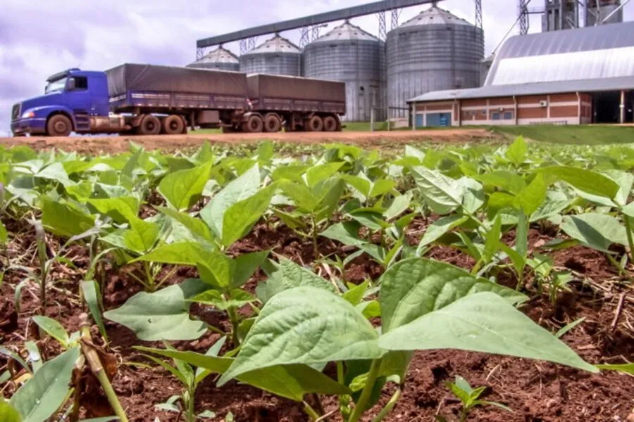 Agronegócio na Bahia registrou elevação em 2021 na comparação com o ano anterior