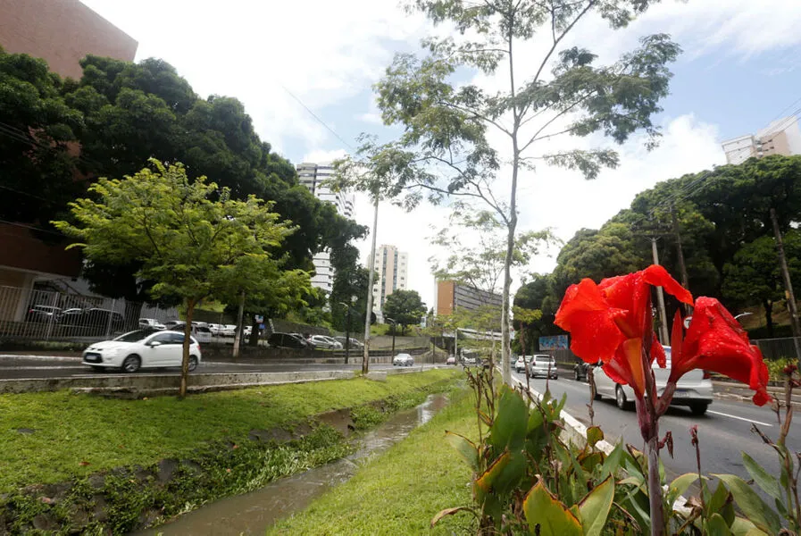 Avenidas de Vale foram criadas no século XX