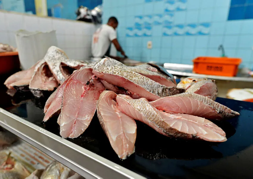 Na Bahia, estado com maior costa do pais, 80% do pescado consumido  vem da pesca extrativa e 20% são originários de cultivo
