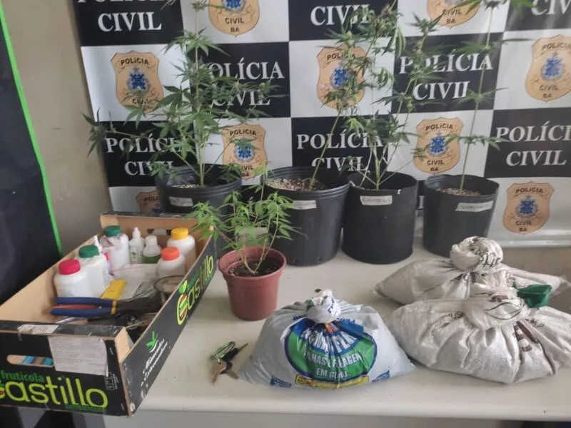 Policia apreenderam balança, adubo e outros insumos no local
