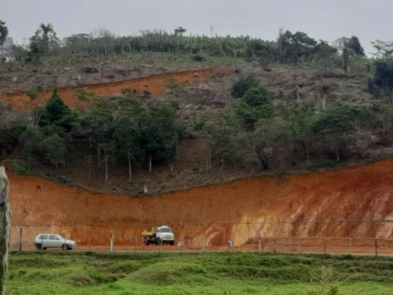 Área de restauração é equivalente a mais de 350 campos de futebol