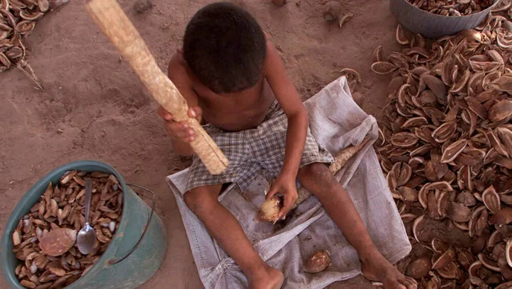 Recua o Brasil, pois ao retornar o Gigante à posição de adormecido no Mapa da Fome, ficam desprotegidos os filhos dos trabalhadores