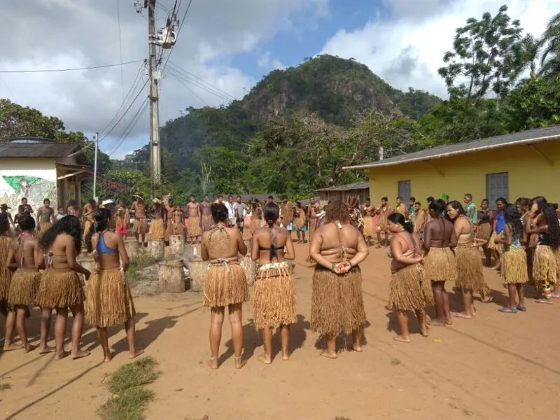 Mais de 800 terras indígenas aguardam demarcação no Brasil, inclusive a do Povo Tupinambá de Olivença