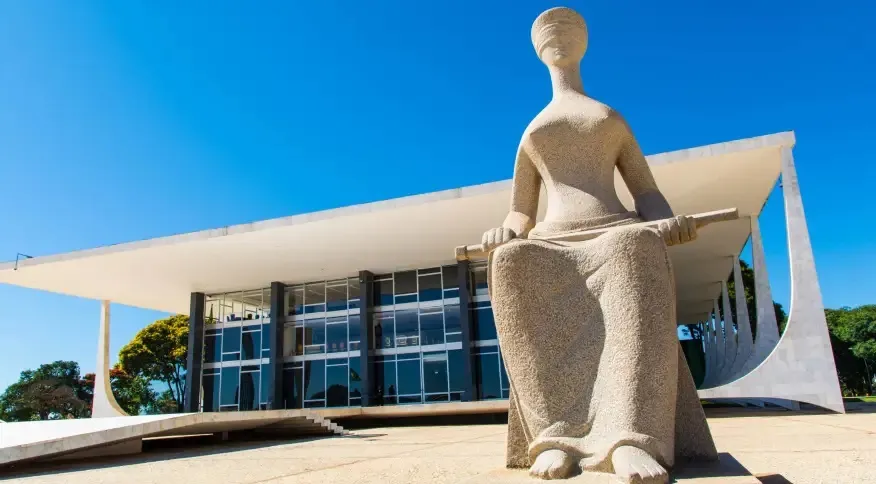 O principal argumento dos magistrados que votaram pela derrubada do decreto foi de que o dispositivo provocou esvaziamento do Fundo Nacional do Meio Ambiente (FNMA)