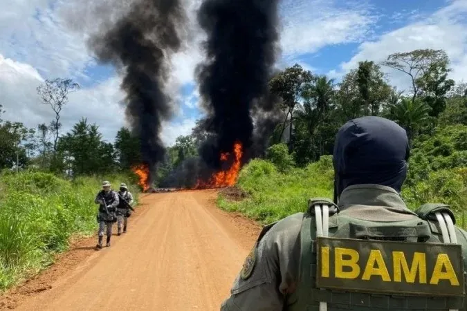 A expansão agrícola brasileira foi apontada como um dos motivos da devastação