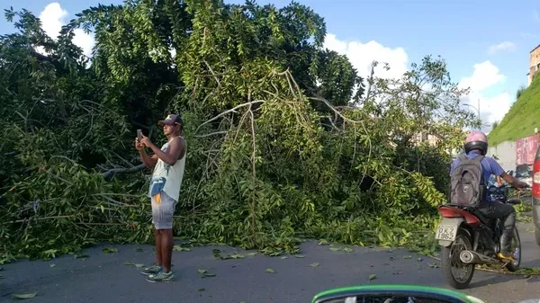 Um carro foi atingido na queda, mas ninguém ficou ferido