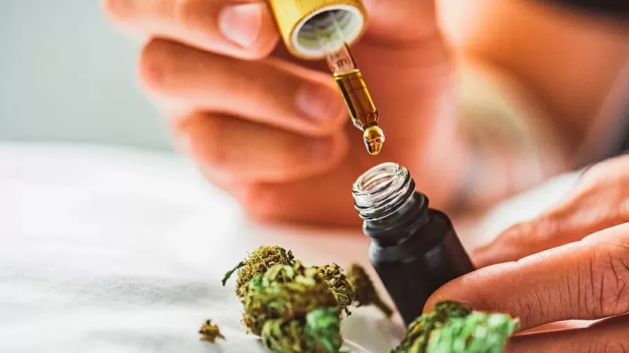 No extrato de cannabis sativa autorizado pela Anvisa concentração é de 96 mg/ml de CBD e 2,4 mg/ml de THC, ou seja, 0,4%