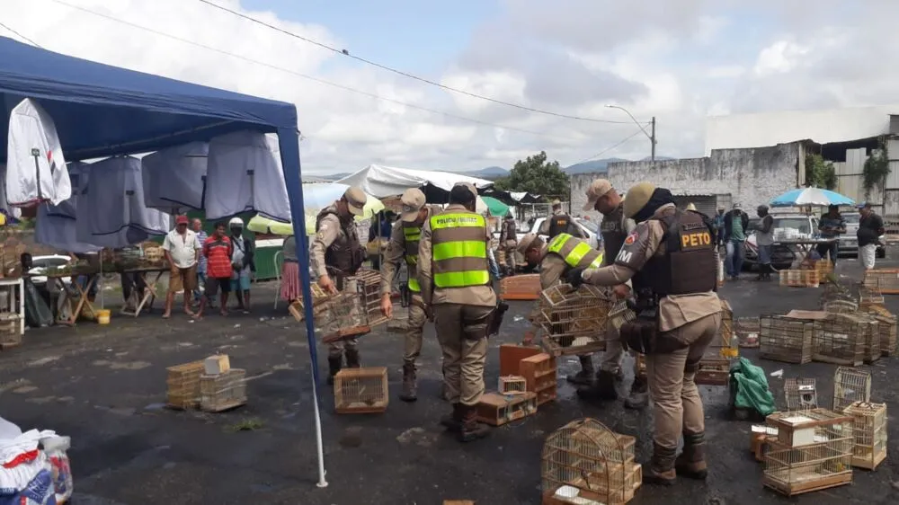 Principal local de atuação  da 'Operação' foi na Feira do Rolo